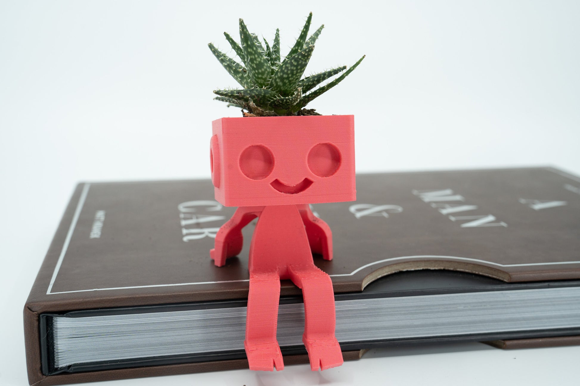 Shelf Sitter Robot Planter, Robbie the Robot Planter, Succulent Pot