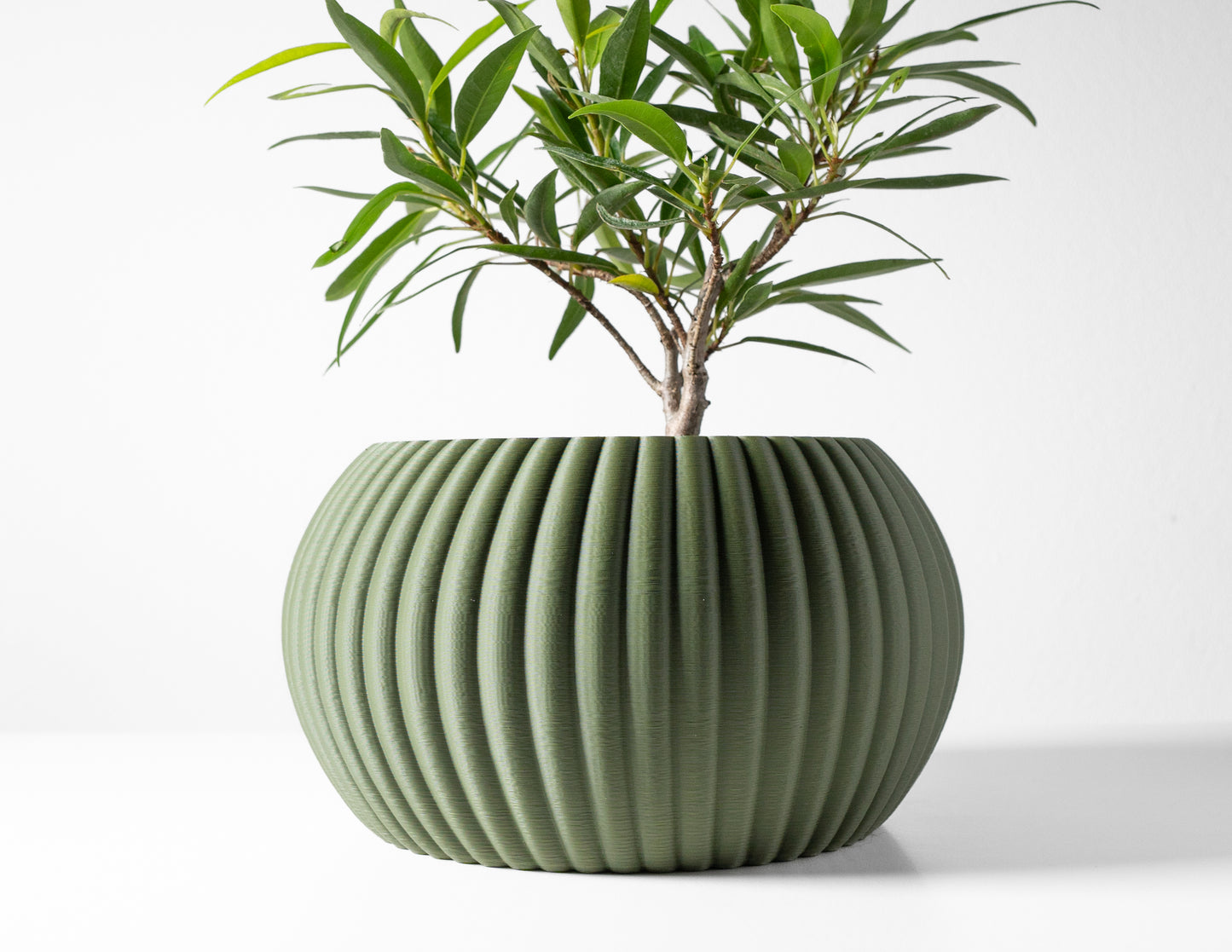 The "Roni" Planter Pot, Ultra Modern Indoor Planter