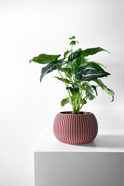 Modern Planter Pot - Stylish Home Decor for Small & Medium Plants, Indoor Gardening Plant Lover Gift