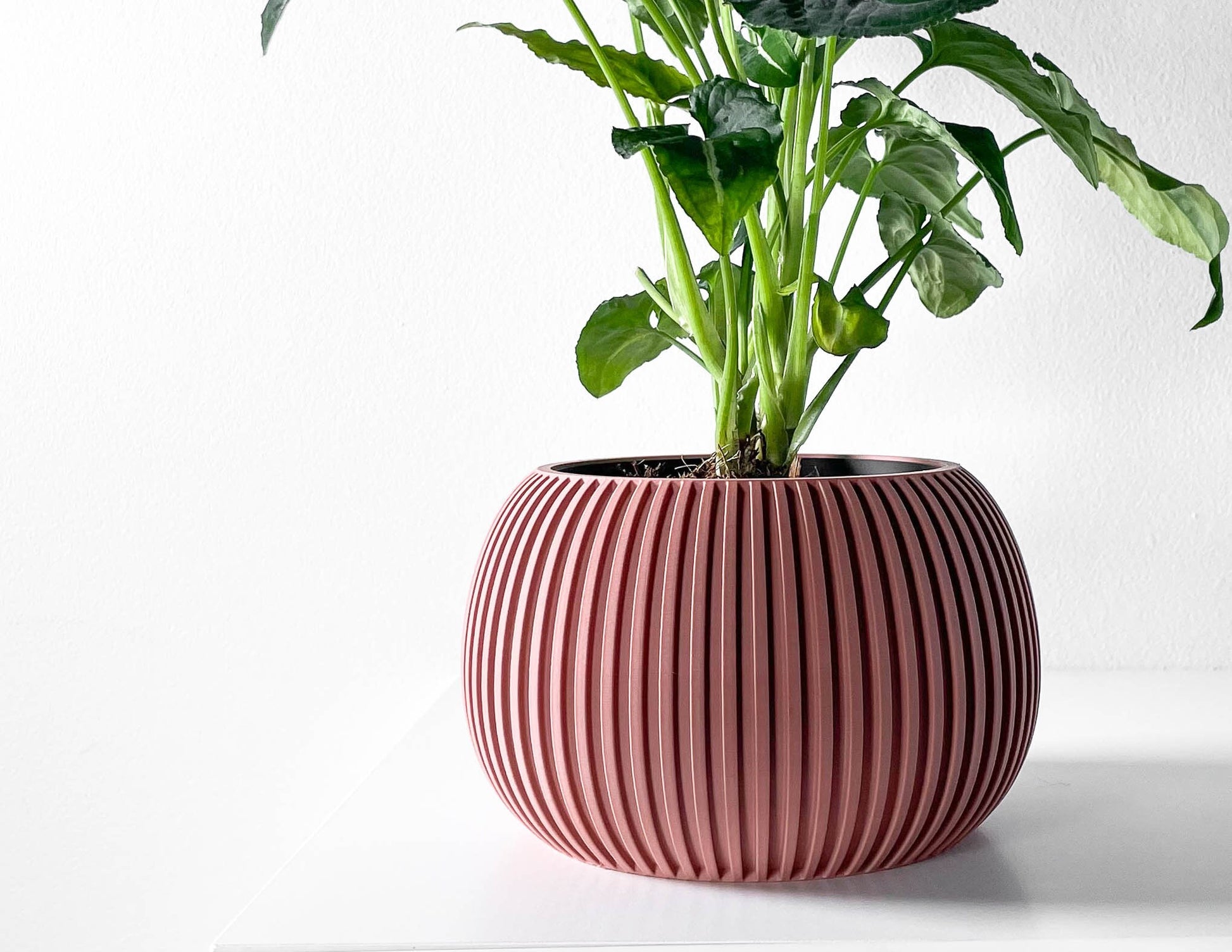 Modern Planter Pot - Stylish Home Decor for Small & Medium Plants, Indoor Gardening Plant Lover Gift