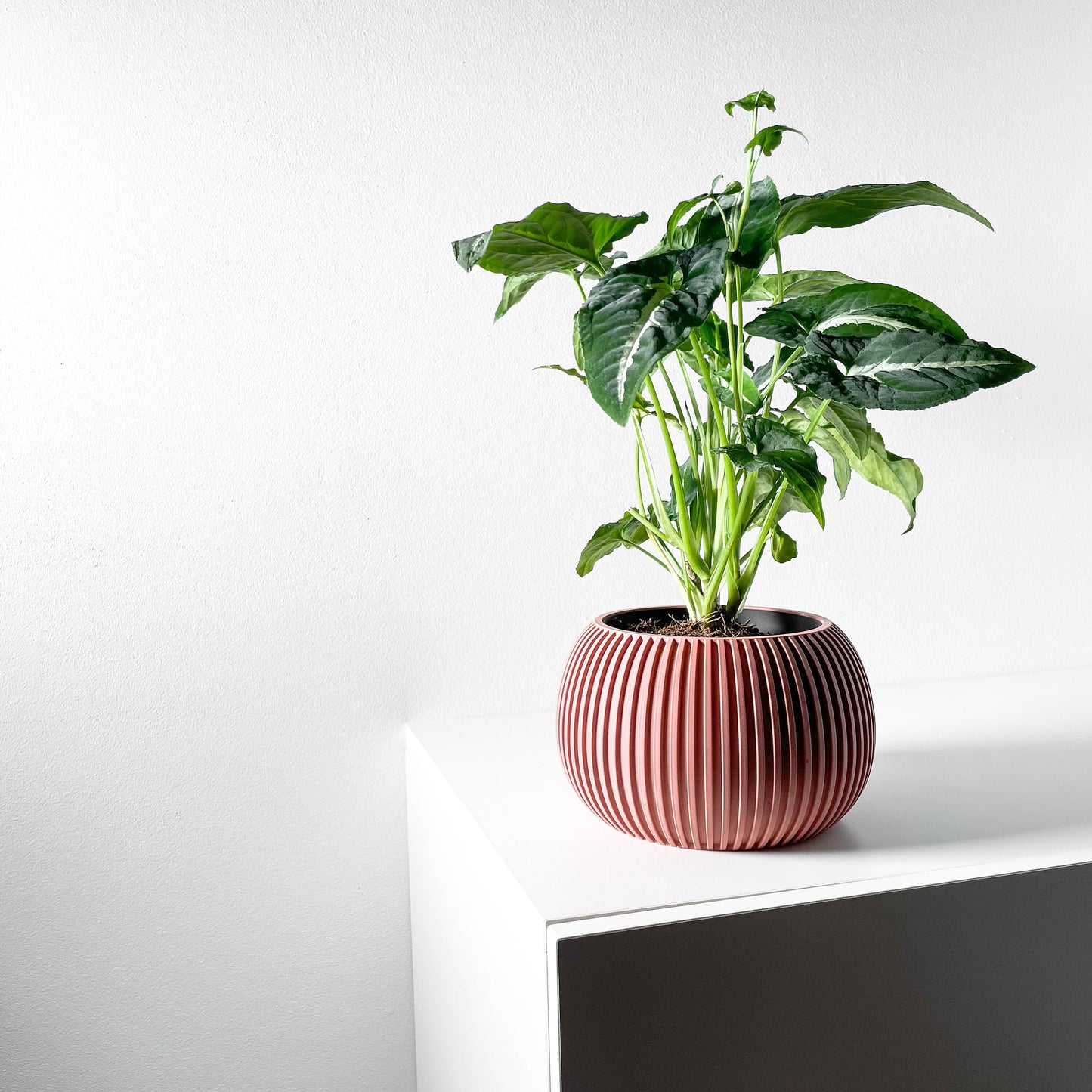 Modern Planter Pot - Stylish Home Decor for Small & Medium Plants, Indoor Gardening Plant Lover Gift