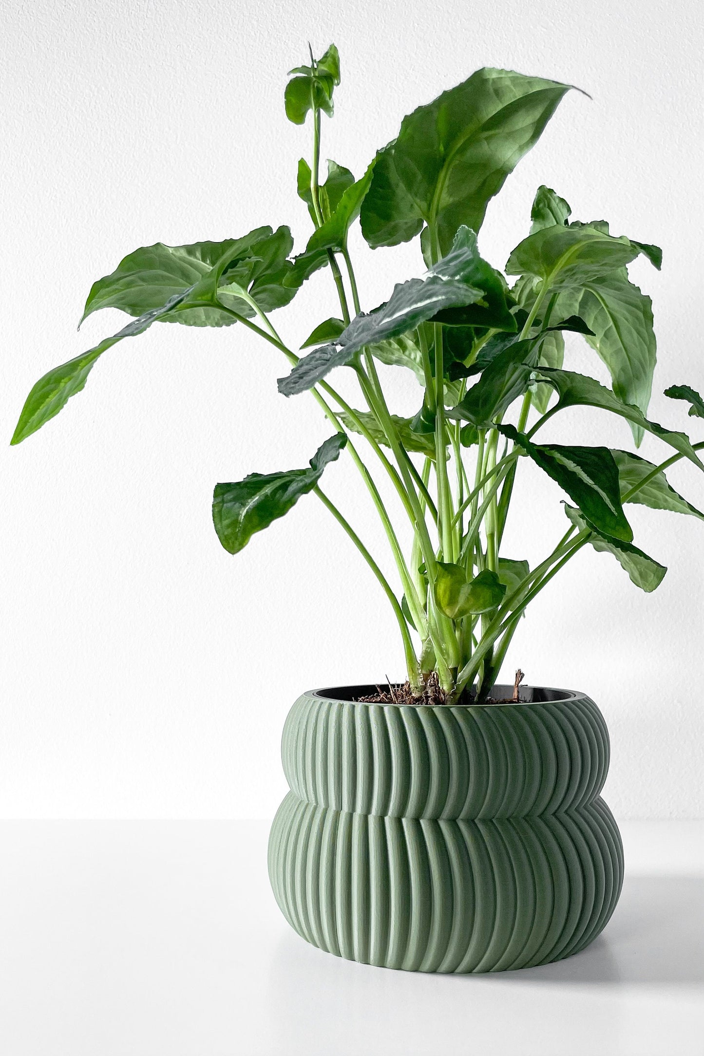 Modern Planter Pot - Stylish Home Decor for Small & Medium Plants, Indoor Gardening Plant Lover Gift