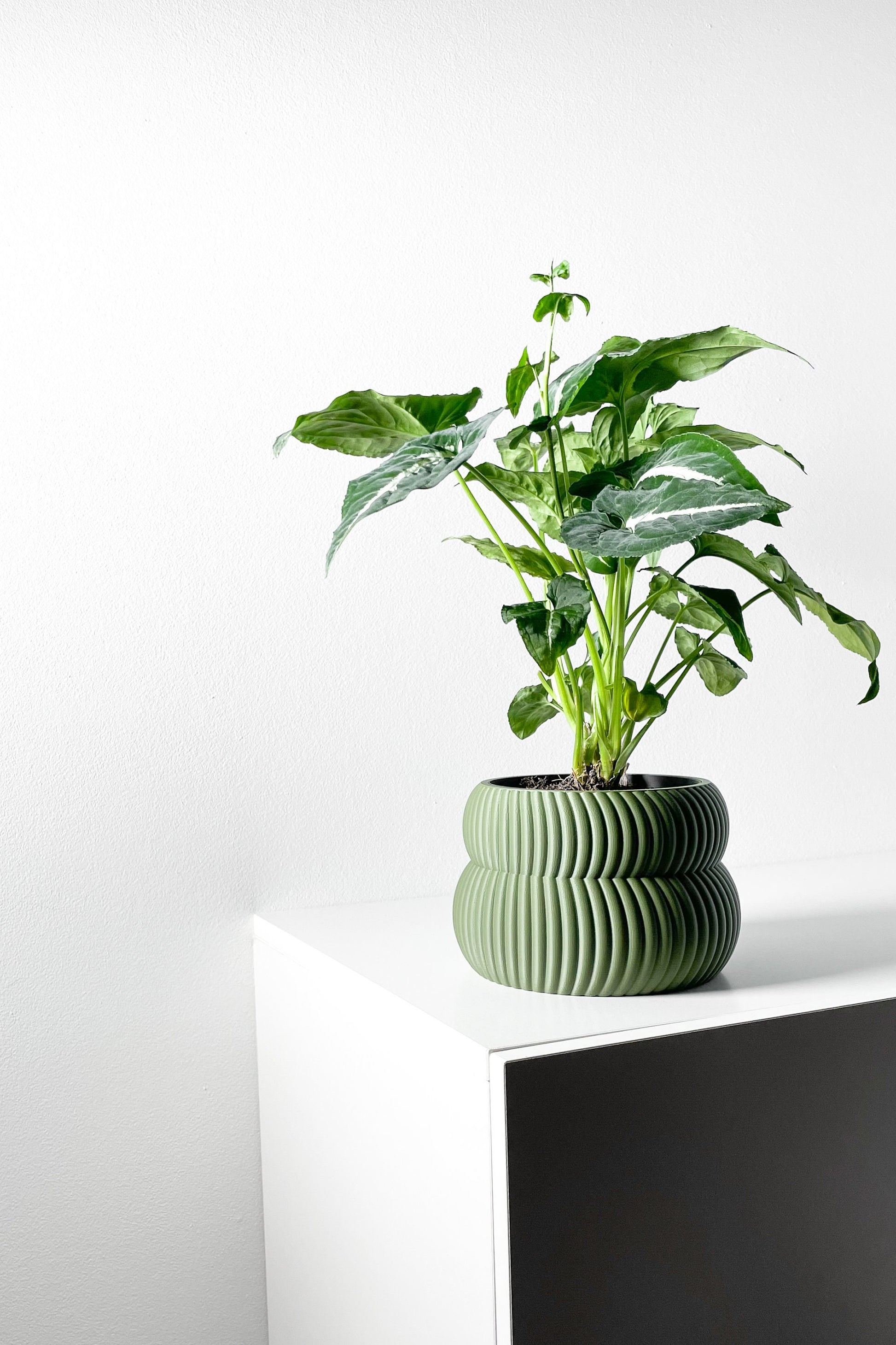 Modern Planter Pot - Stylish Home Decor for Small & Medium Plants, Indoor Gardening Plant Lover Gift