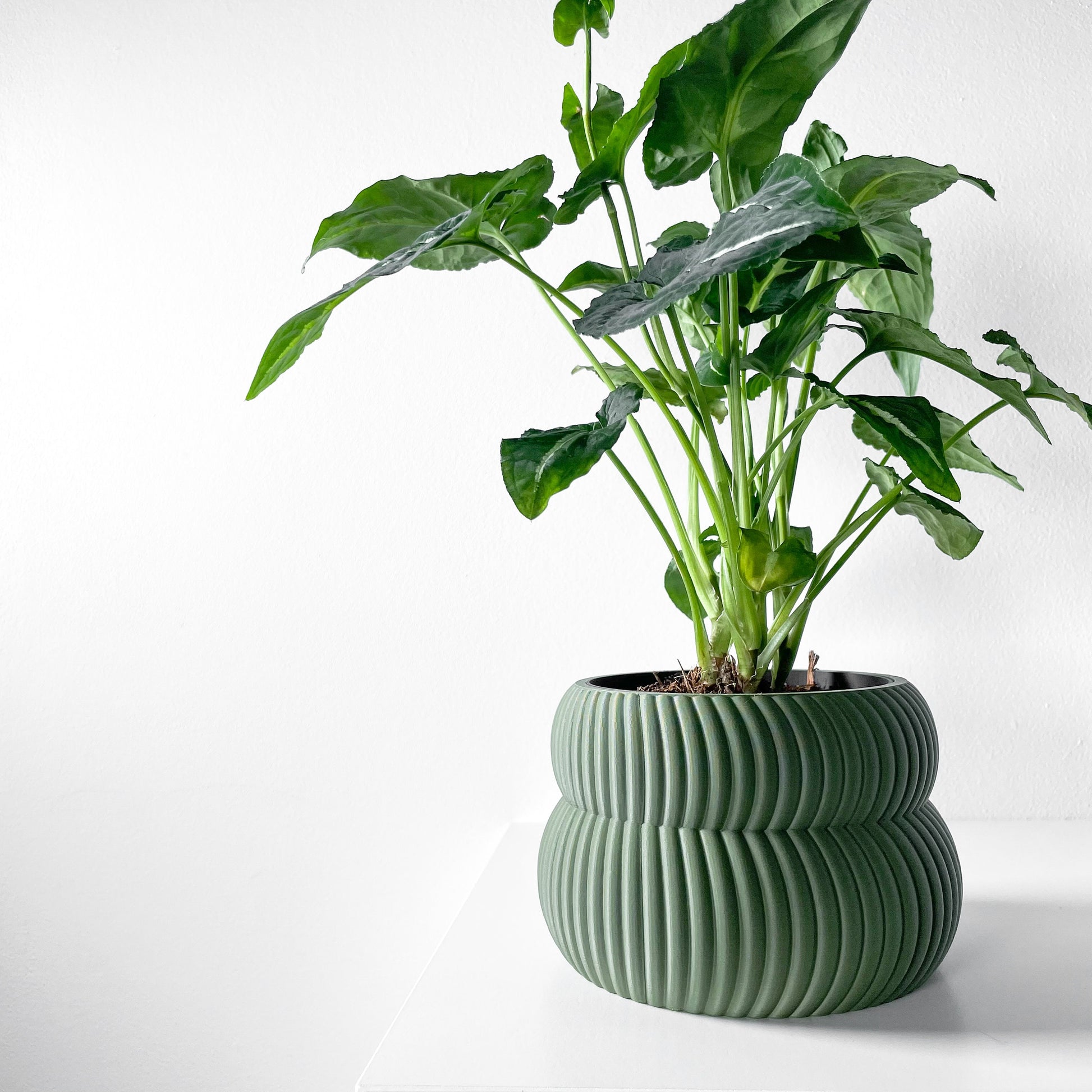 Modern Planter Pot - Stylish Home Decor for Small & Medium Plants, Indoor Gardening Plant Lover Gift