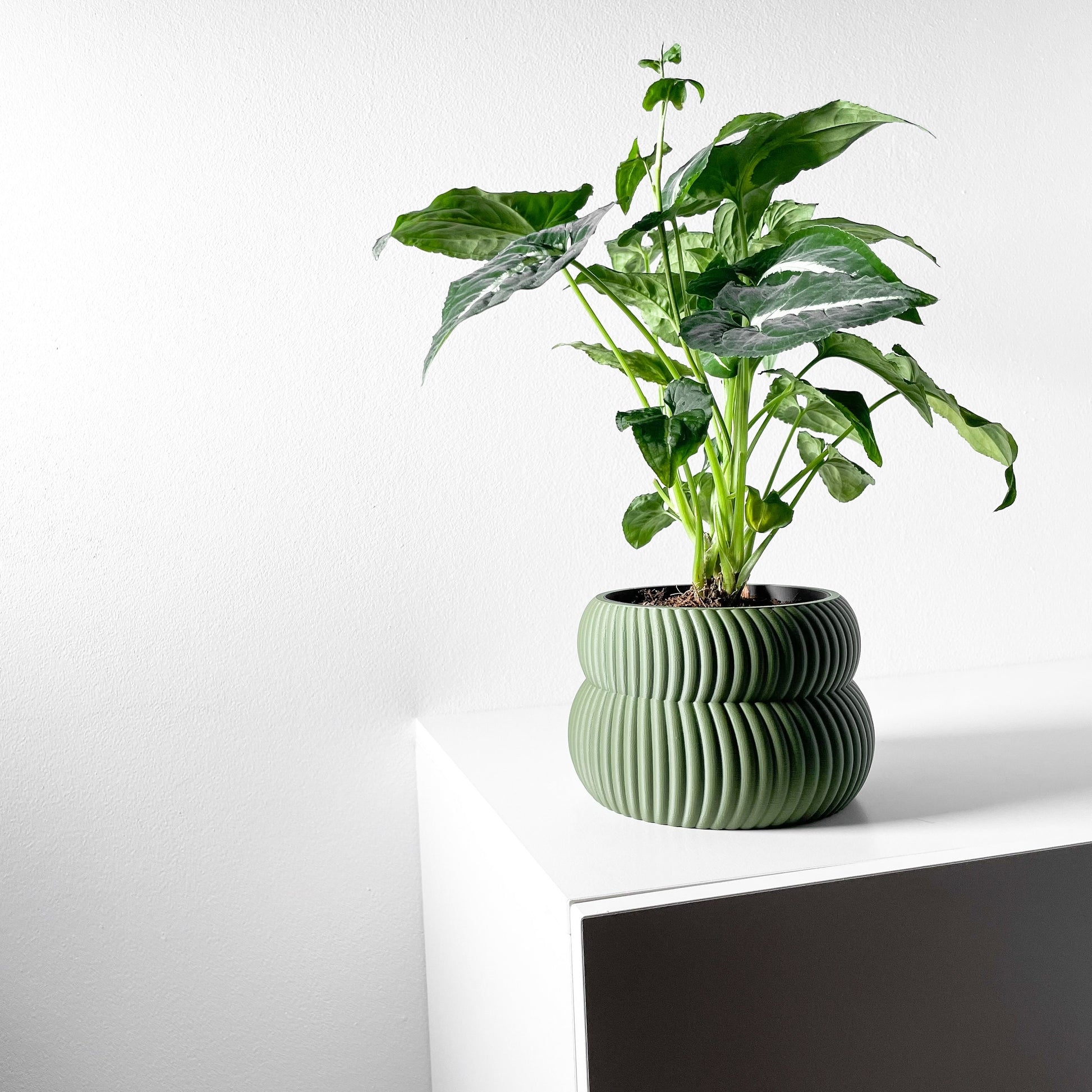 Modern Planter Pot - Stylish Home Decor for Small & Medium Plants, Indoor Gardening Plant Lover Gift