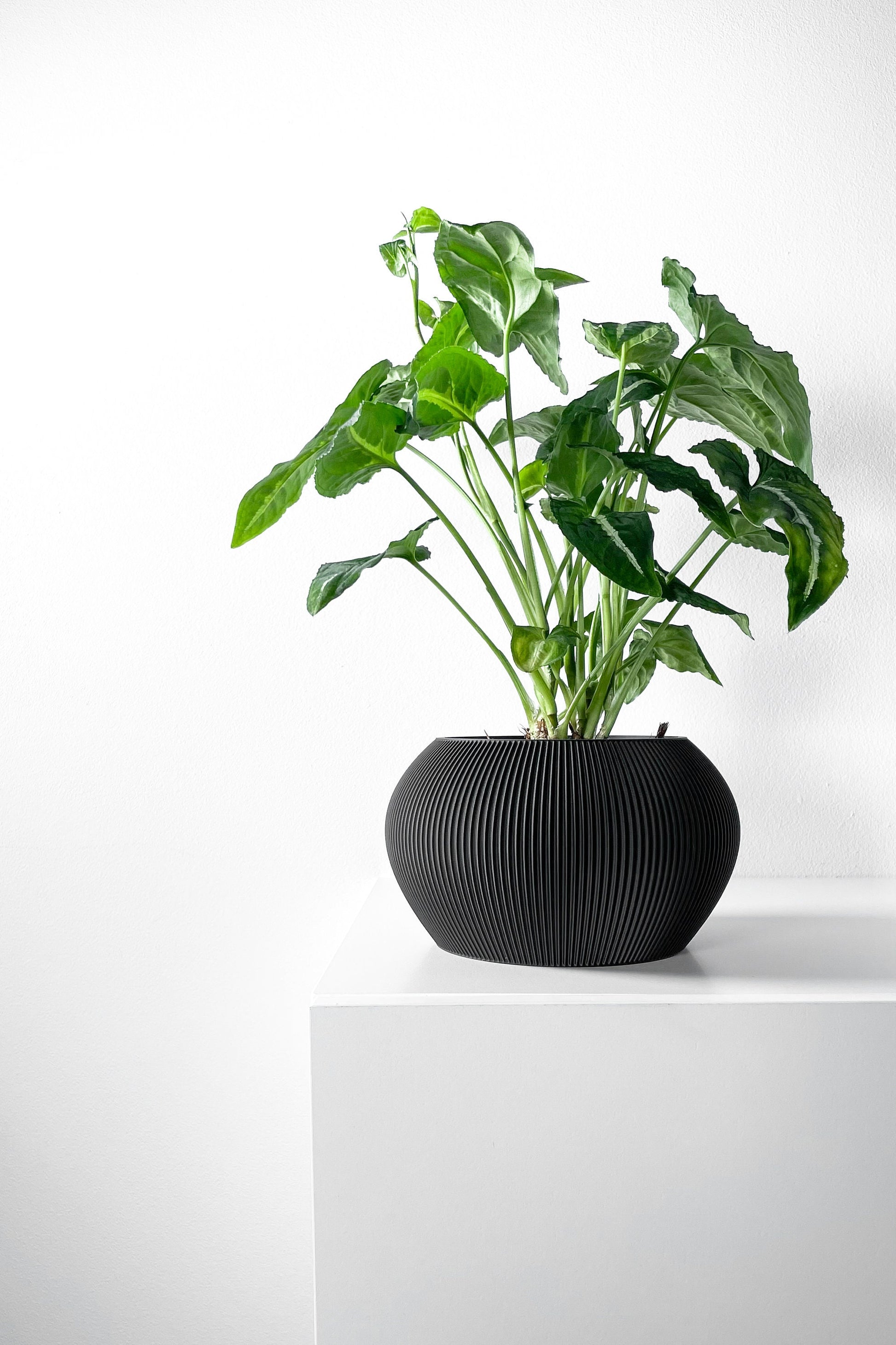 Modern Planter Pot - Stylish Home Decor for Small & Medium Plants, Indoor Gardening Plant Lover Gift