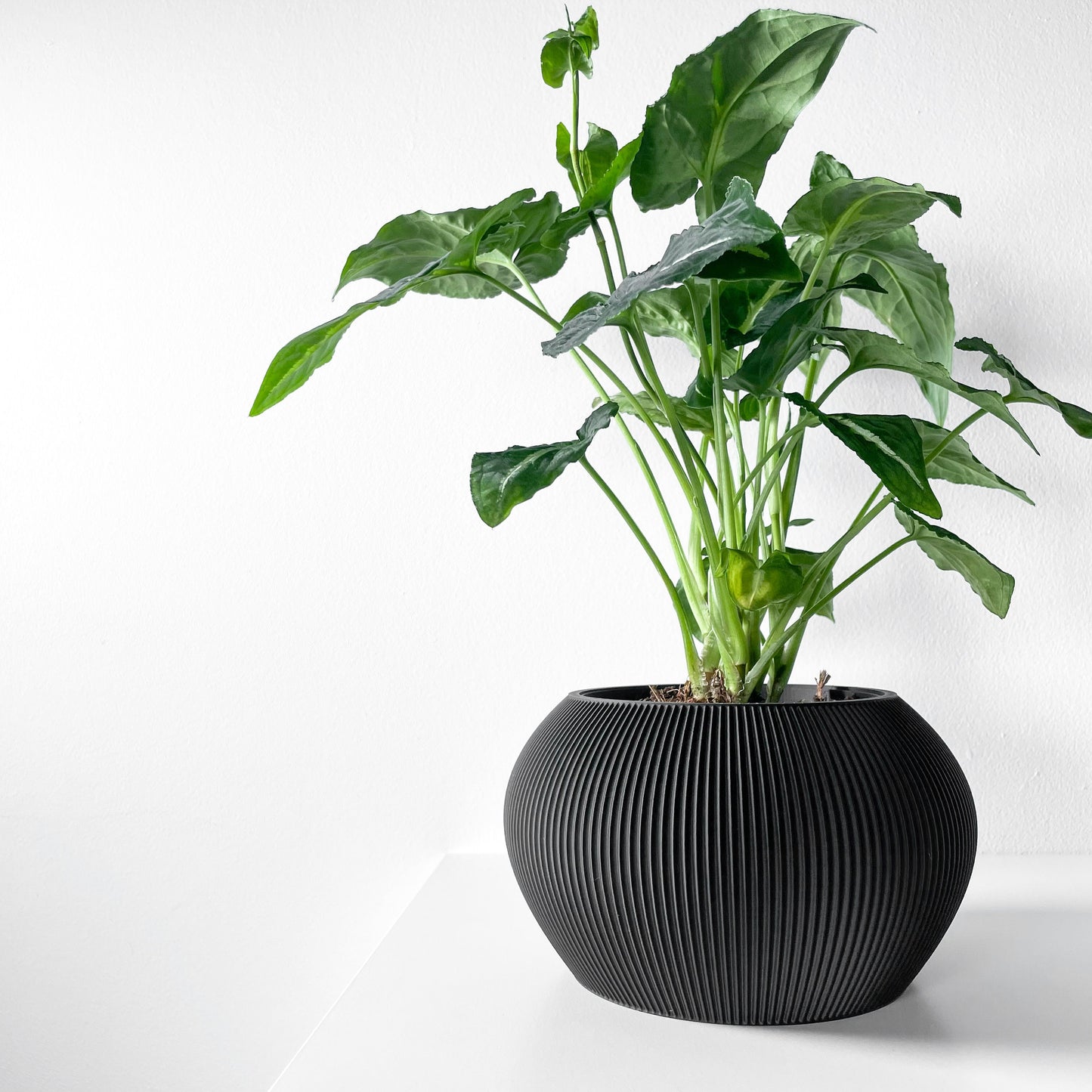 Modern Planter Pot - Stylish Home Decor for Small & Medium Plants, Indoor Gardening Plant Lover Gift