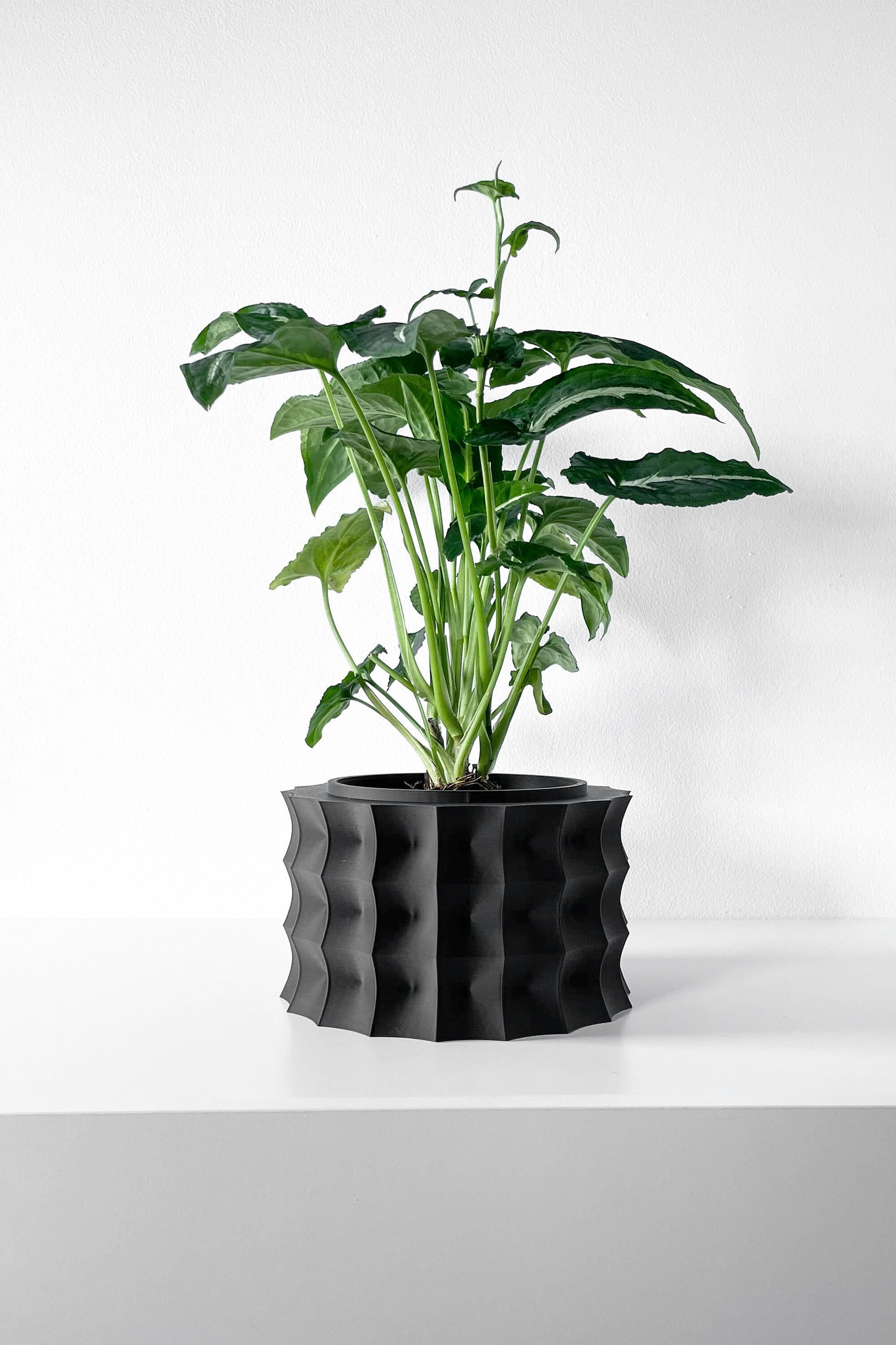 Modern Round Planter Pot - Minimalist Home Decor for Small & Medium Plants, Indoor Gardening Plant Lover Gift