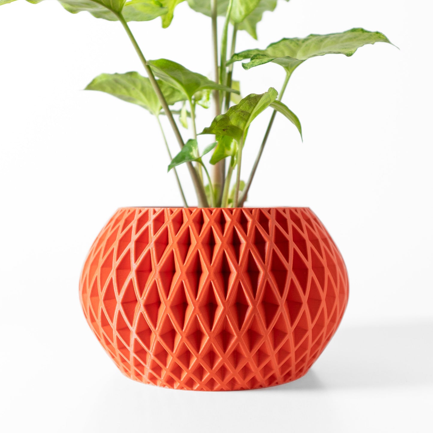 Modern Planter Pot - Minimalist Home Decor for Small & Medium Plants, Indoor Gardening Plant Lover Gift