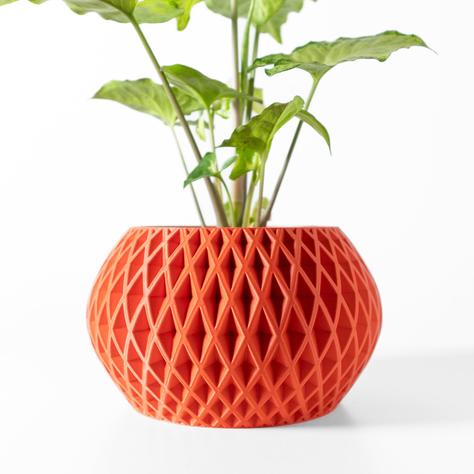 Modern Planter Pot - Minimalist Home Decor for Small & Medium Plants, Indoor Gardening Plant Lover Gift