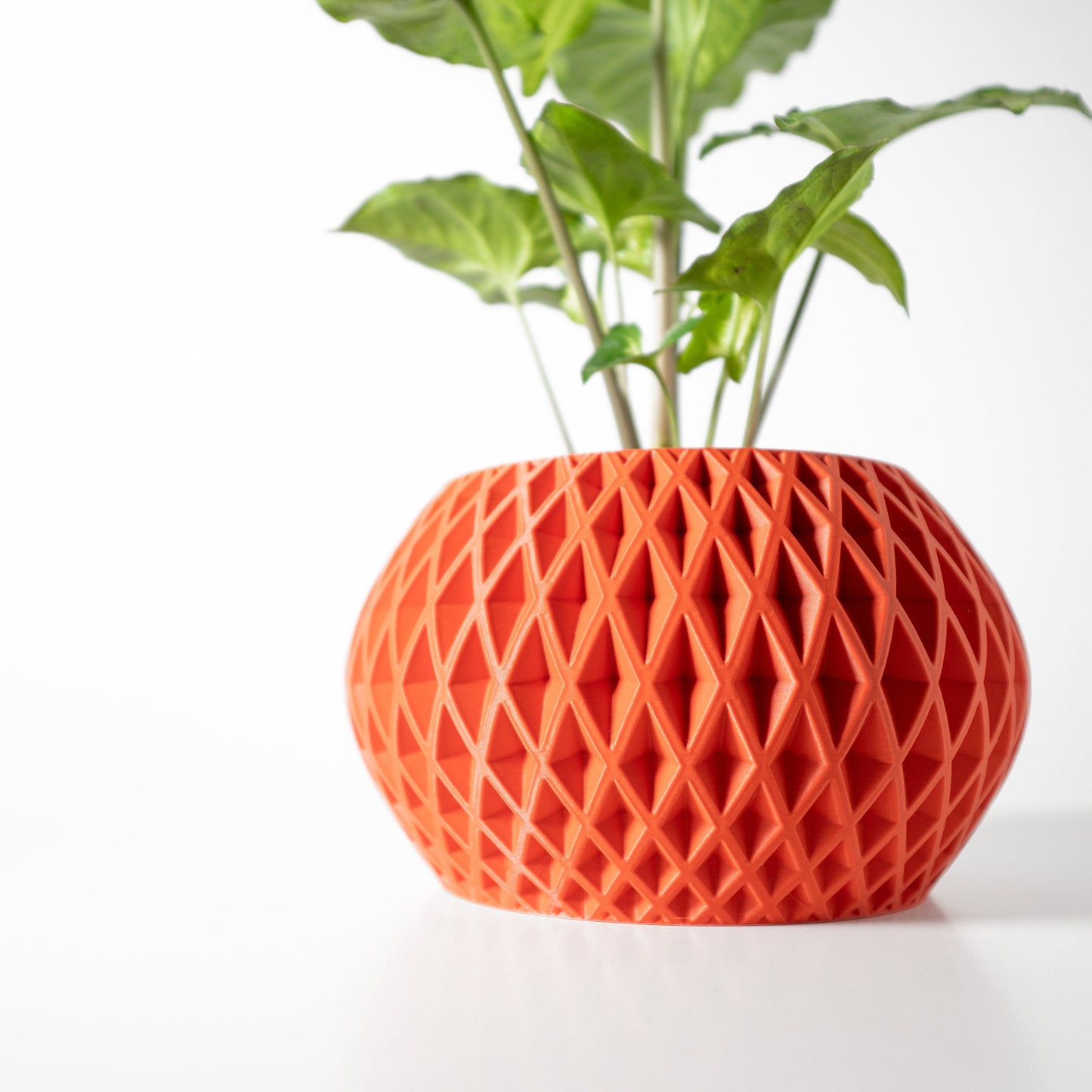 Modern Planter Pot - Minimalist Home Decor for Small & Medium Plants, Indoor Gardening Plant Lover Gift