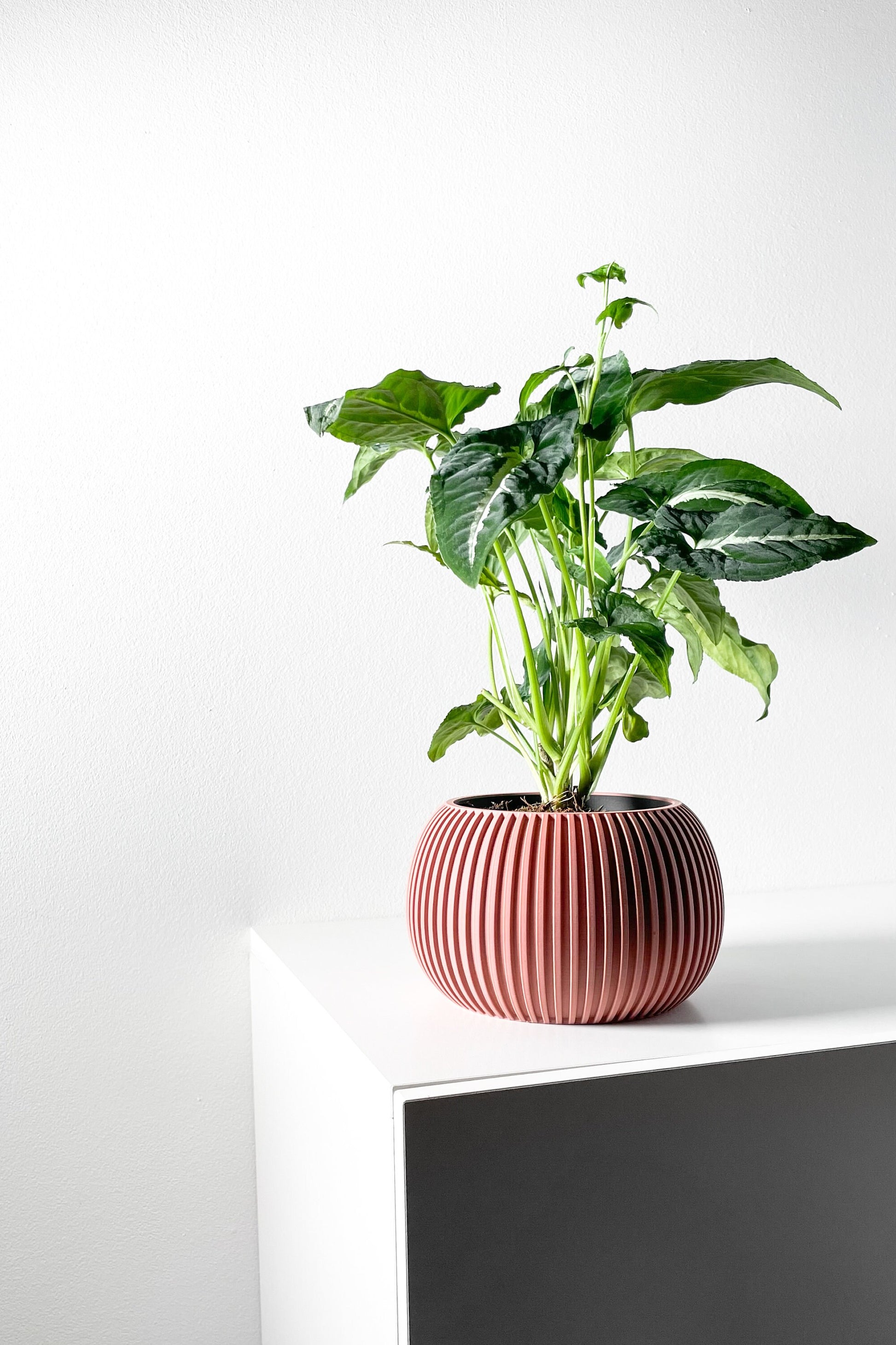 Modern Planter Pot - Stylish Home Decor for Small & Medium Plants, Indoor Gardening Plant Lover Gift