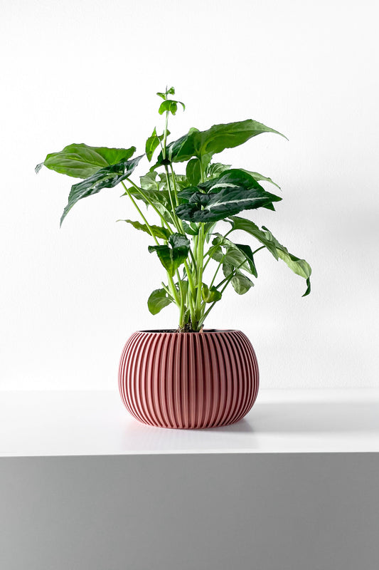 Modern Planter Pot - Stylish Home Decor for Small & Medium Plants, Indoor Gardening Plant Lover Gift