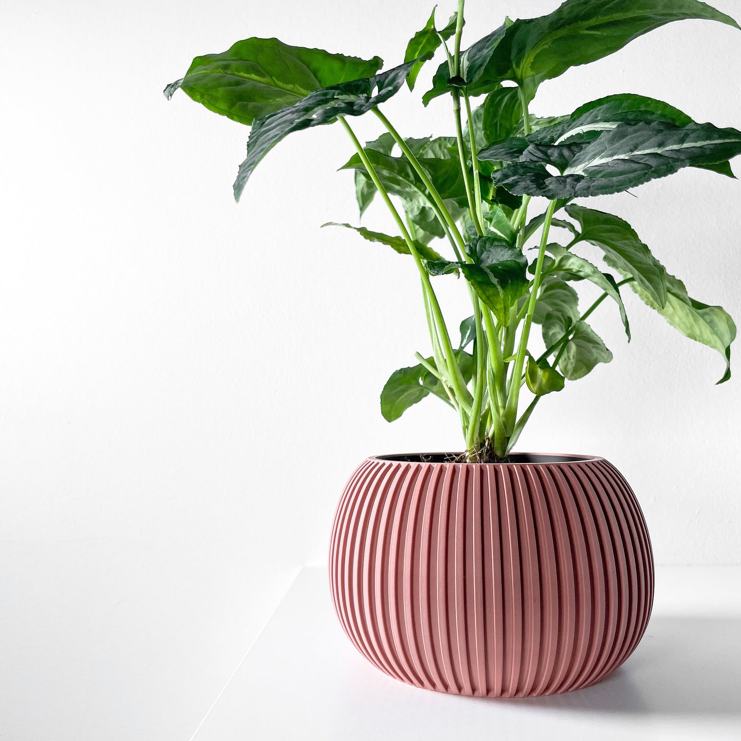 Modern Planter Pot - Stylish Home Decor for Small & Medium Plants, Indoor Gardening Plant Lover Gift