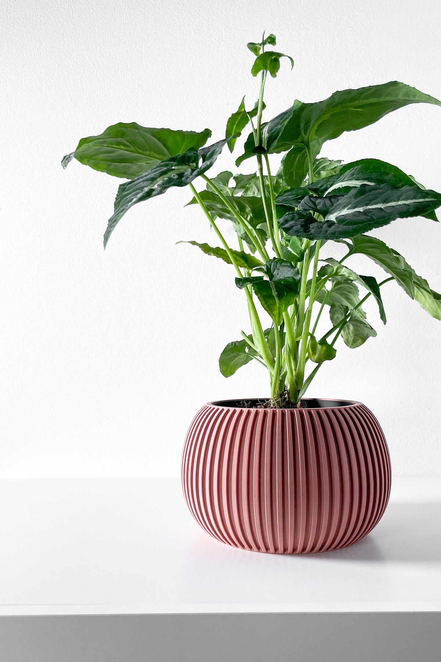 Modern Planter Pot - Stylish Home Decor for Small & Medium Plants, Indoor Gardening Plant Lover Gift