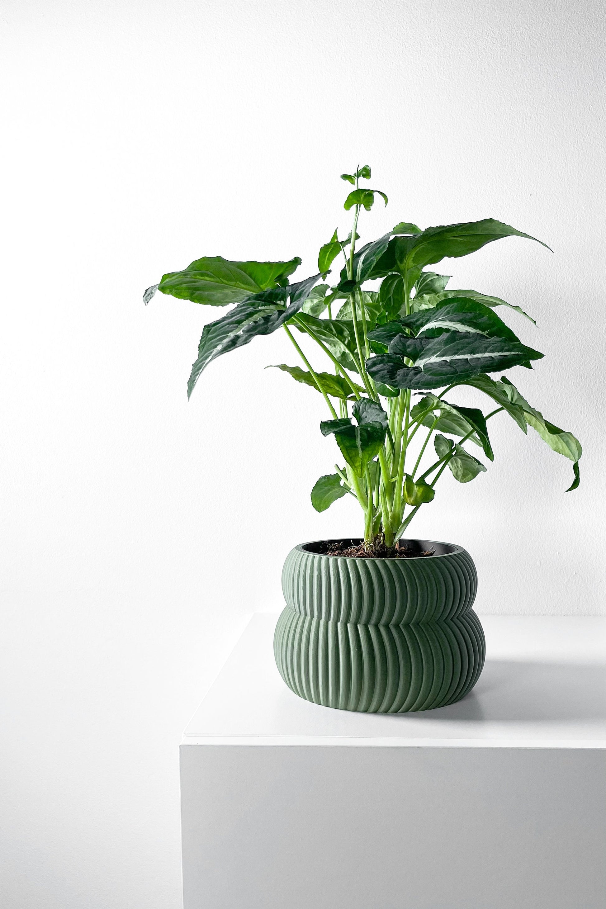 Modern Planter Pot - Stylish Home Decor for Small & Medium Plants, Indoor Gardening Plant Lover Gift