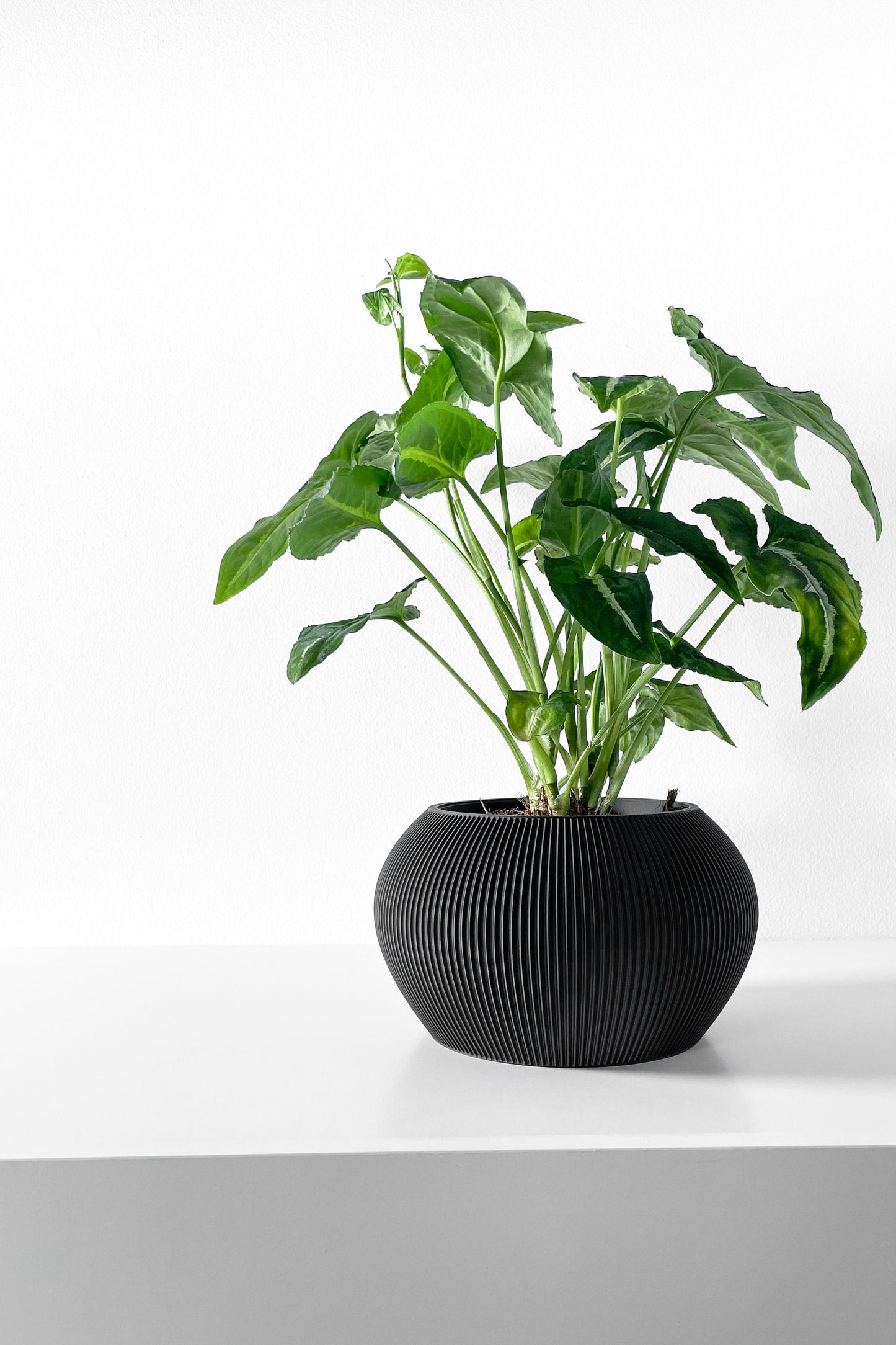 Modern Planter Pot - Stylish Home Decor for Small & Medium Plants, Indoor Gardening Plant Lover Gift