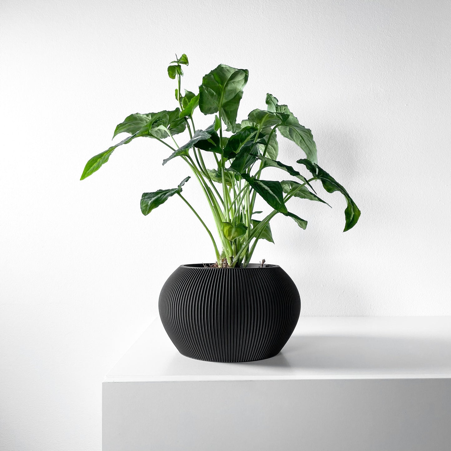 Modern Planter Pot - Stylish Home Decor for Small & Medium Plants, Indoor Gardening Plant Lover Gift