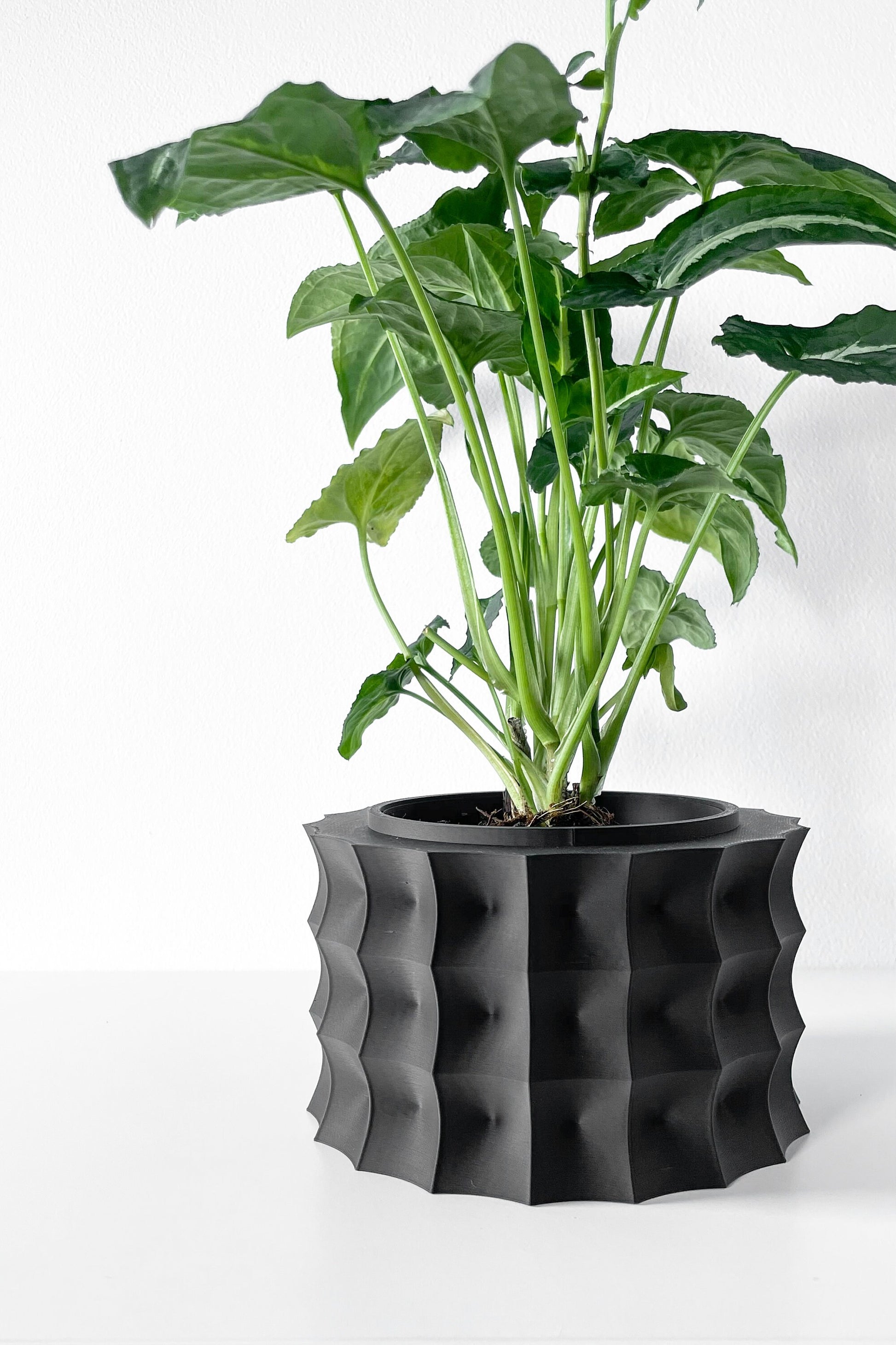 Modern Round Planter Pot - Minimalist Home Decor for Small & Medium Plants, Indoor Gardening Plant Lover Gift