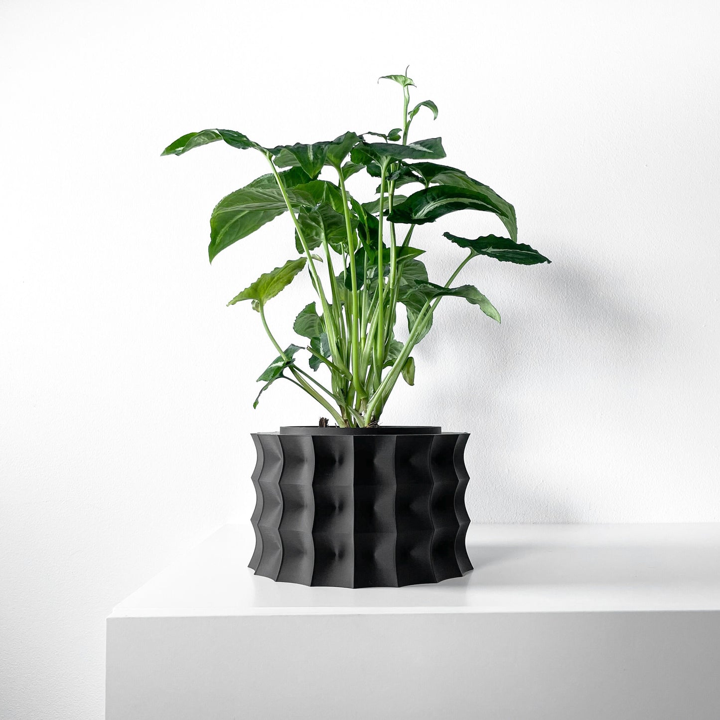 Modern Round Planter Pot - Minimalist Home Decor for Small & Medium Plants, Indoor Gardening Plant Lover Gift