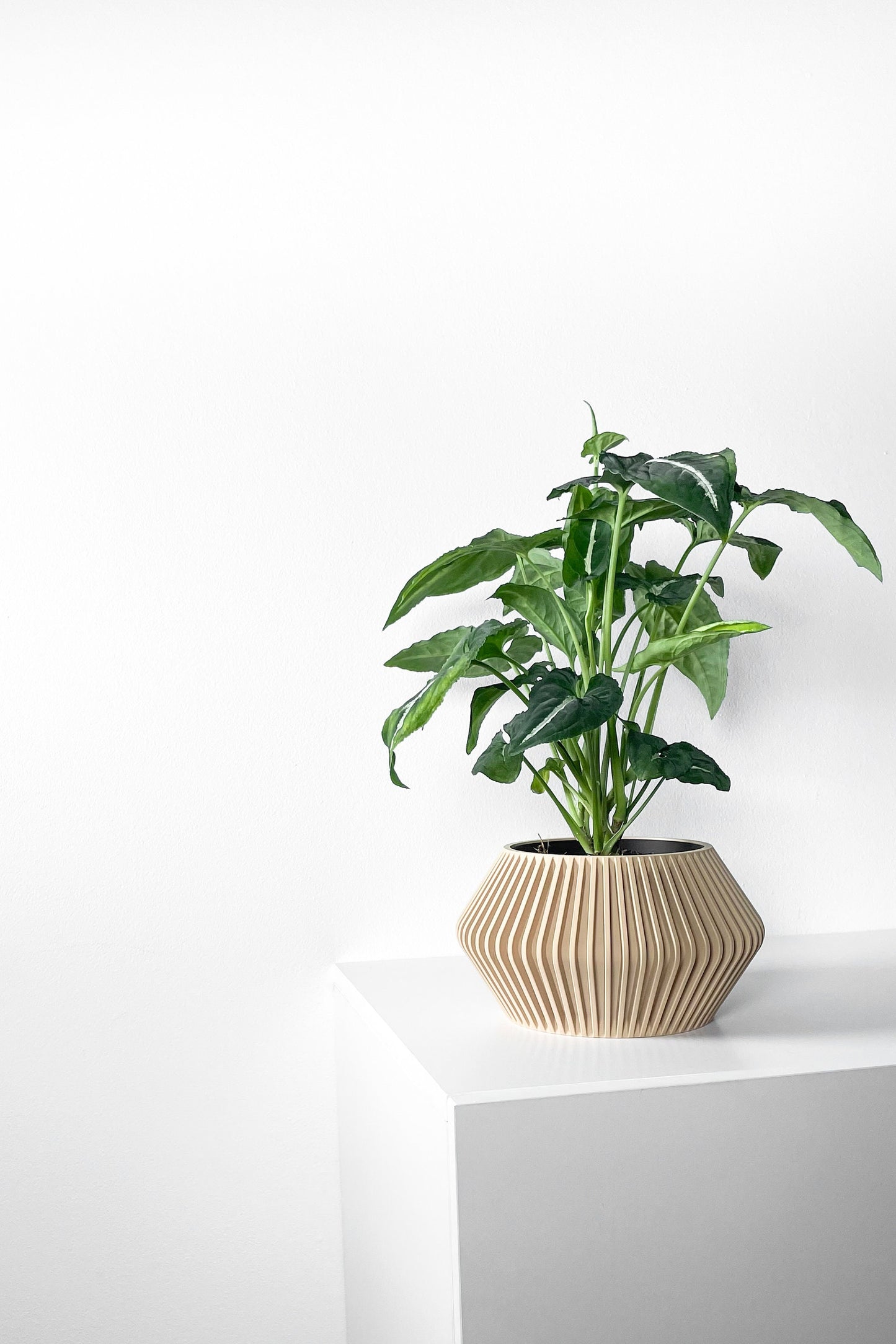 Modern Planter Pot - Minimalist Home Decor for Small & Medium Plants, Indoor Gardening Plant Lover Gift