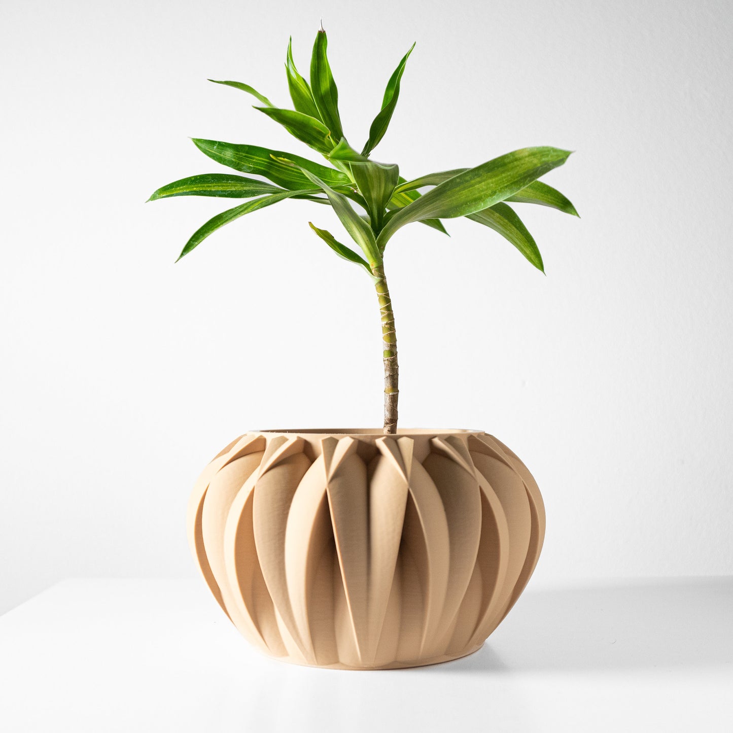 Modern Planter Pot - Minimalist Home Decor for Small & Medium Plants, Indoor Gardening Plant Lover Gift