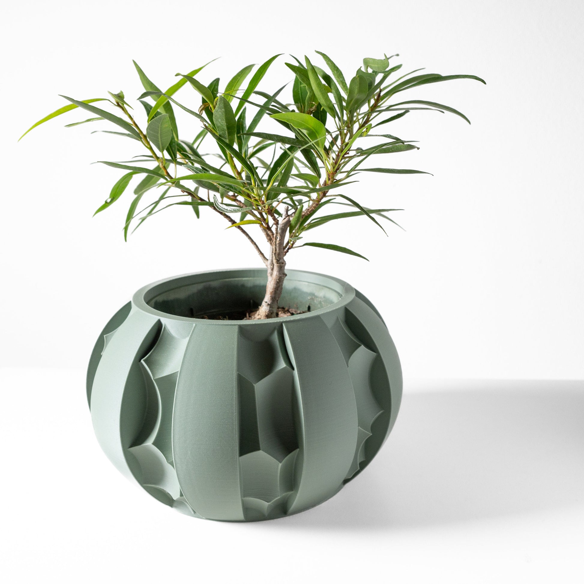 Modern Round Planter Pot - Minimalist Home Decor for Small & Medium Plants, Indoor Gardening Plant Lover Gift