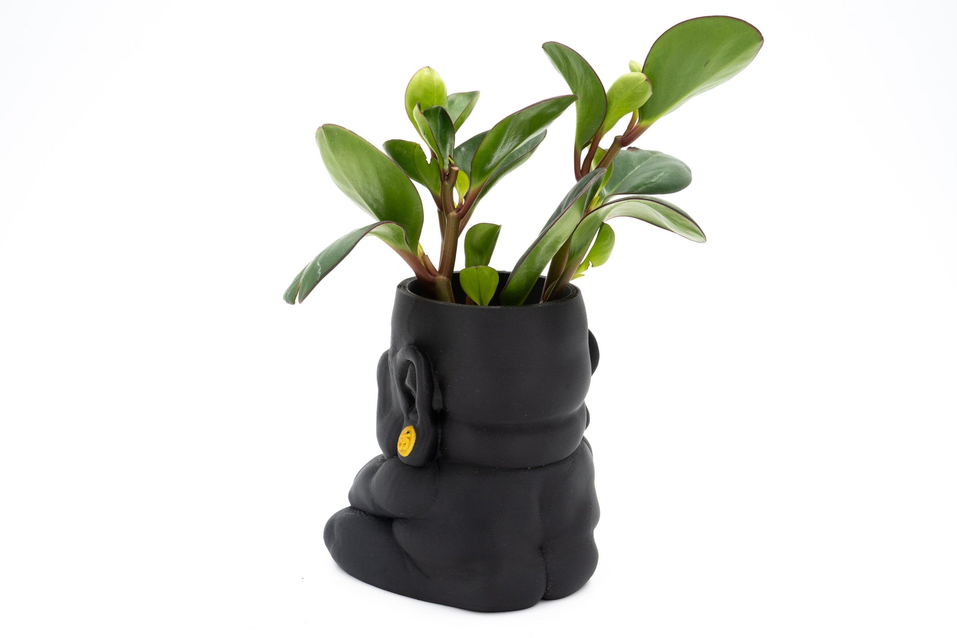 Buddha Planter w/ drainage system, Smiling Buddha Flowerpot for Home & Garden